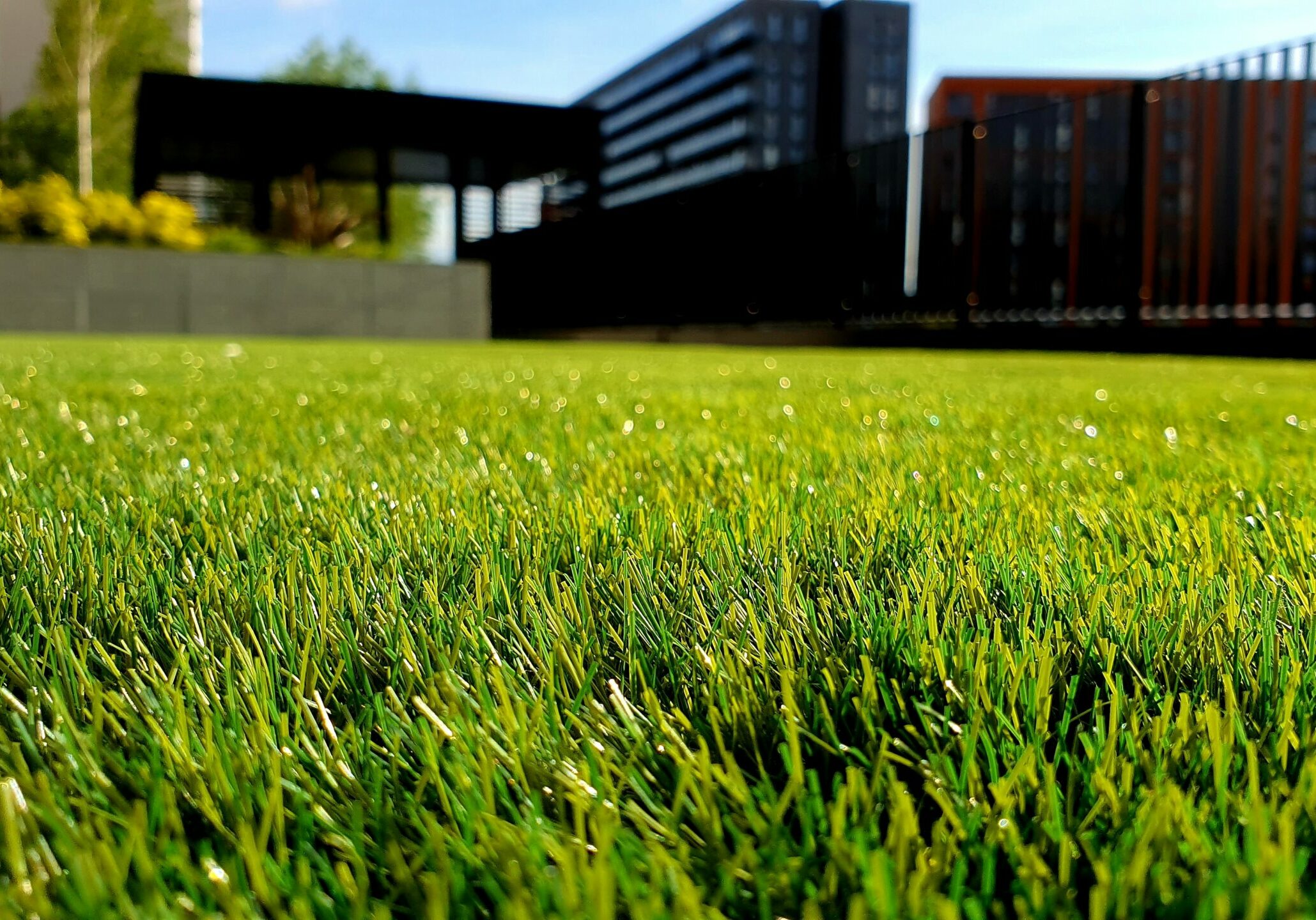 Artificial grass